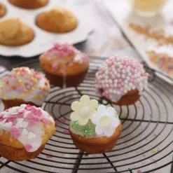 ✔️ Genius Cerafit ???? Brandneu Muffinblech Bakery -Genius Verkäufe unnamed file 1192